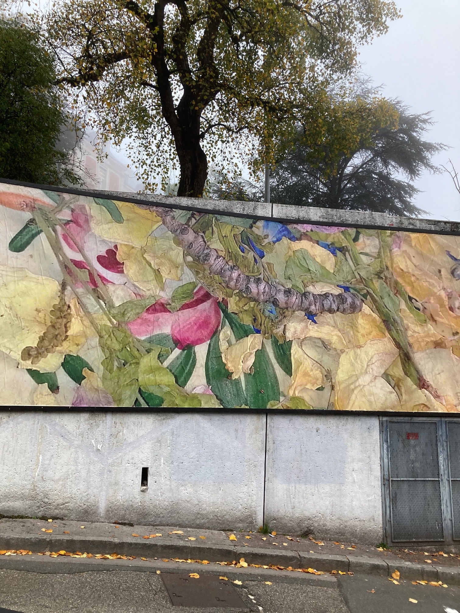 Collage « Flétrissures » de Françoise Miramand Balvet, Novembre 2024 — M.U.R Saint-Étienne