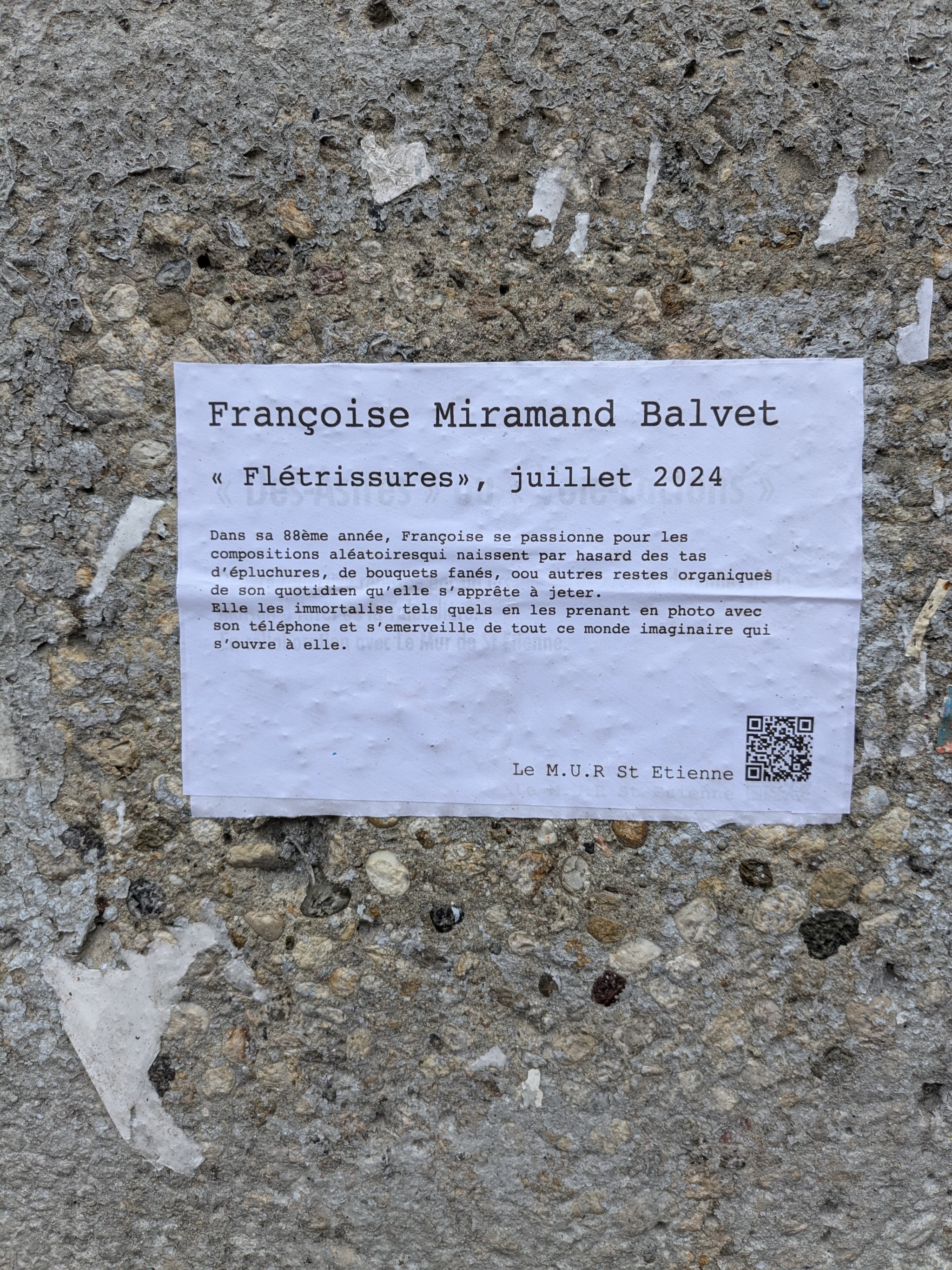 Collage « Flétrissures » de Françoise Miramand Balvet, Novembre 2024 — M.U.R Saint-Étienne