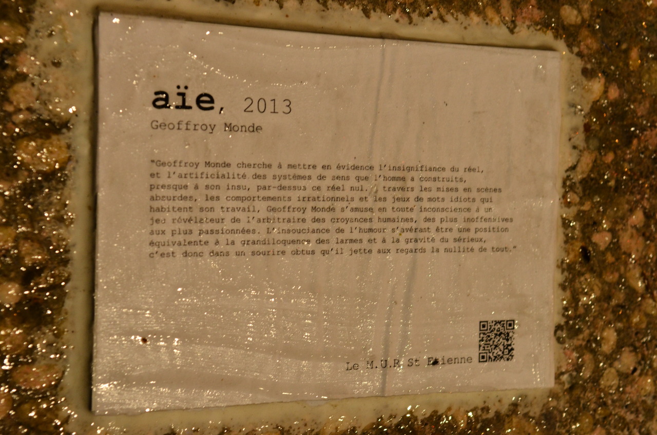 Collage de Inconnu, Décembre 2013 — M.U.R Saint-Étienne